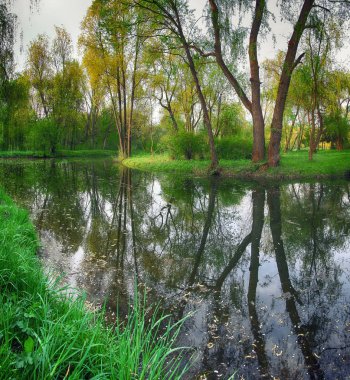 Gür yeşil Woodland Park güneşli sakin gölet