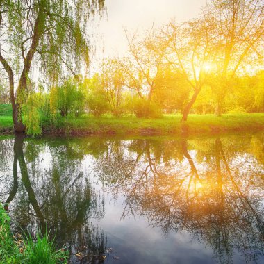 Gür yeşil Woodland Park güneşli sakin gölet