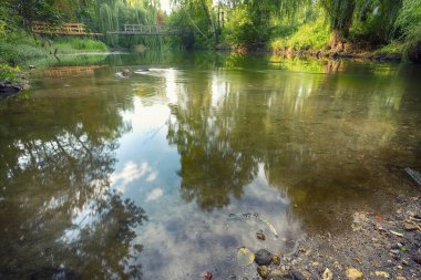 Nehir dağ orman derin içinde. Uzun pozlama