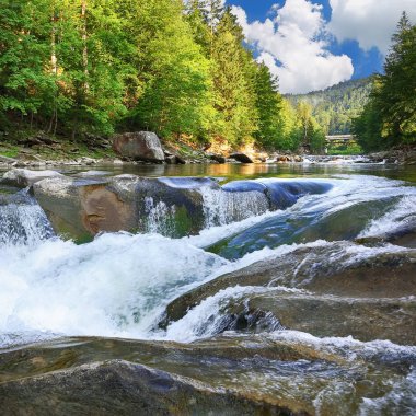 Bahar nehri manzarası