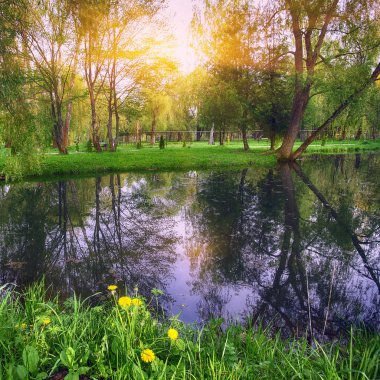 Gür yeşil Woodland Park güneşli sakin gölet