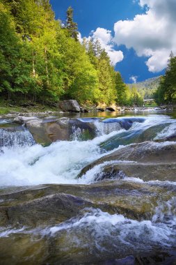Bahar nehri manzarası