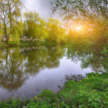Gür yeşil Woodland Park güneşli sakin gölet