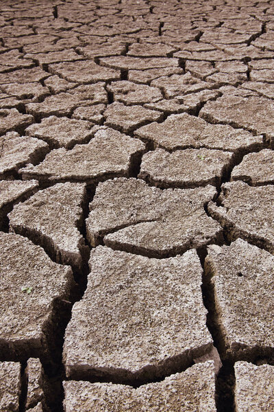 Dry soil background