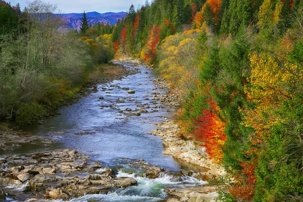 カラフルな木の紅葉と岩で秋のクリークの森 — ストック写真