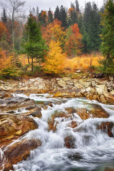 Sonbahar zaman nehir dağ manzarası