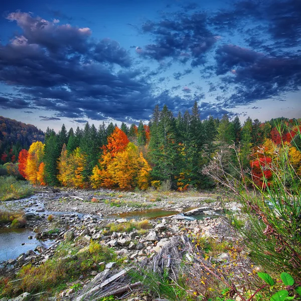 Autumn creek woods with colorfull trees foliage and rocks in for — Stock Photo, Image