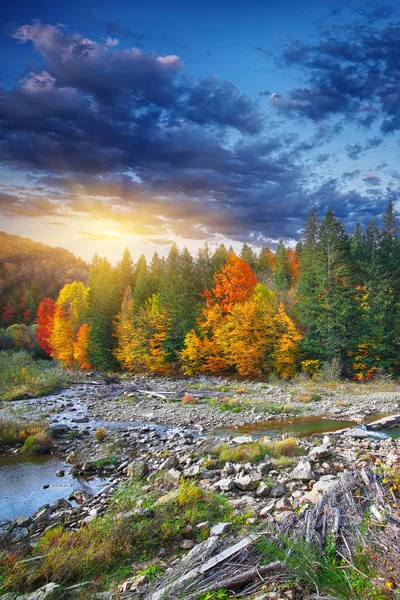 カラフルな木の紅葉と岩で秋のクリークの森 — ストック写真
