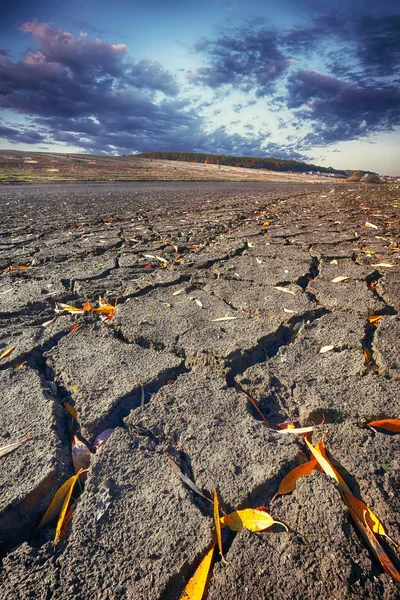 Ziemi z wysuszonej i popękanej ziemi — Stockfoto