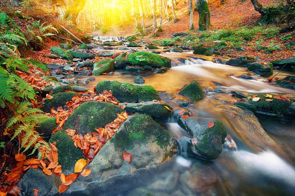 Gebirgsfluss mit Stromschnellen und Wasserfällen zur Herbstzeit — Stockfoto