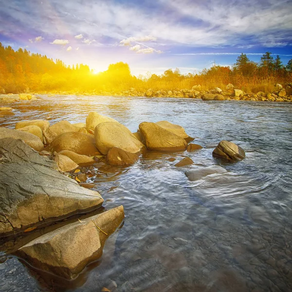 Rocky shore of the river — Stock Photo, Image