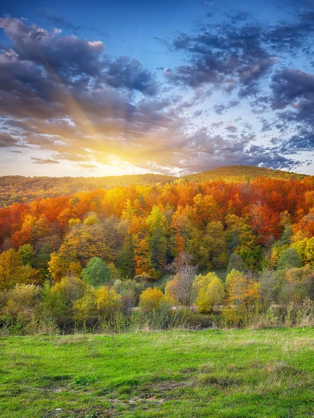 Paysage d'automne de montagne avec forêt colorée — Photo