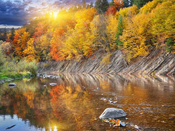 Herbstwald am Fluss — Stockfoto