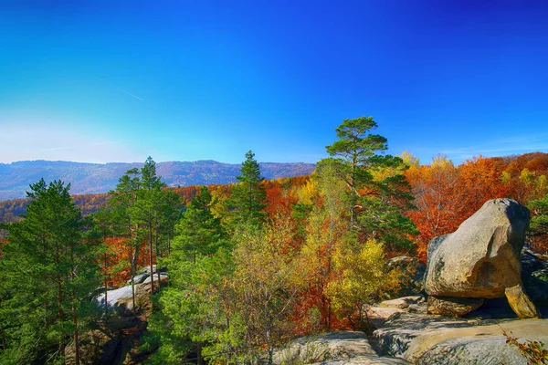 Autumn forest and mountains in the background — Stock Photo, Image