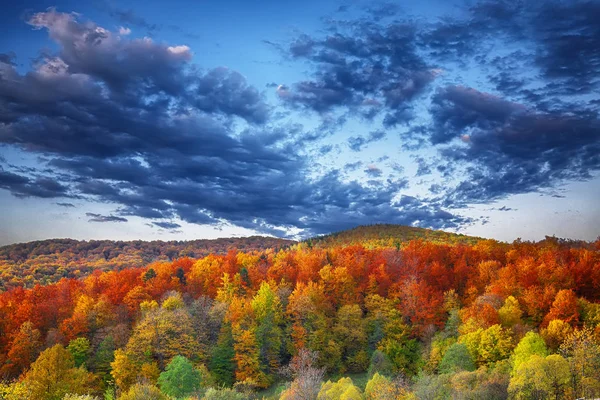 Paisaje de otoño de montaña con bosque colorido — Foto de Stock