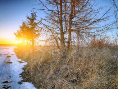 bir karlı yolda araba tekerlek izleri