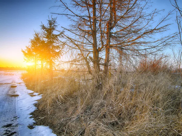 bir karlı yolda araba tekerlek izleri