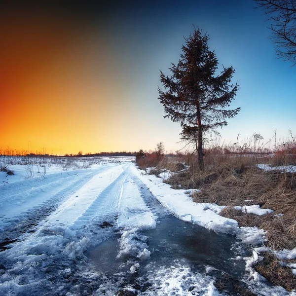 Trilhas de rodas em lama no inverno — Fotografia de Stock