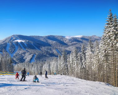 Bir dağ yamacında çam. Güzel mavi gökyüzü.