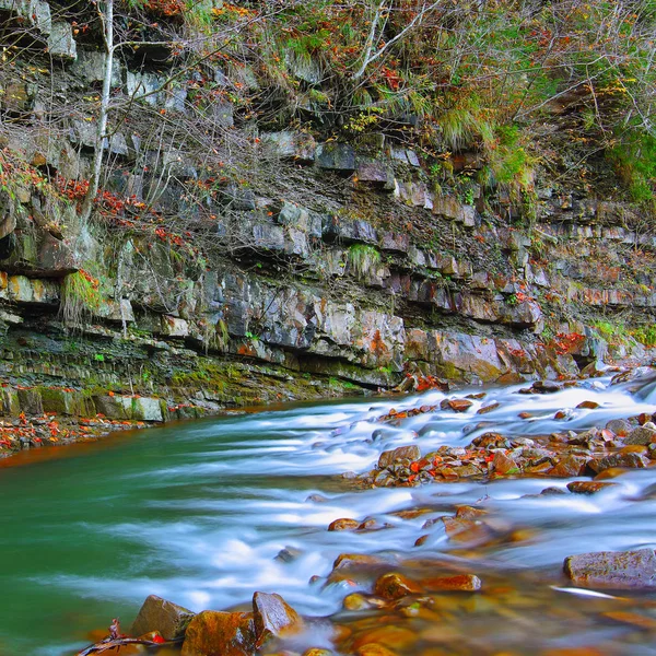 Kayalık sonbahar Nehri kıyısında. — Stok fotoğraf