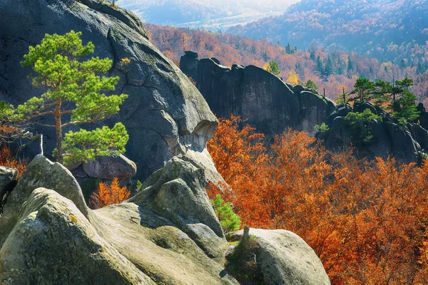 Autumn forest and mountains in the background — Stock Photo, Image