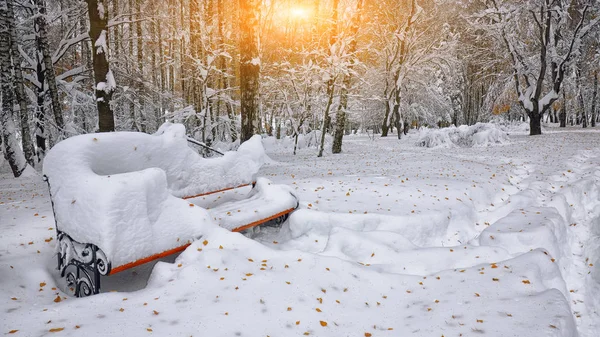 Banco do parque e árvores cobertas por neve pesada — Fotografia de Stock