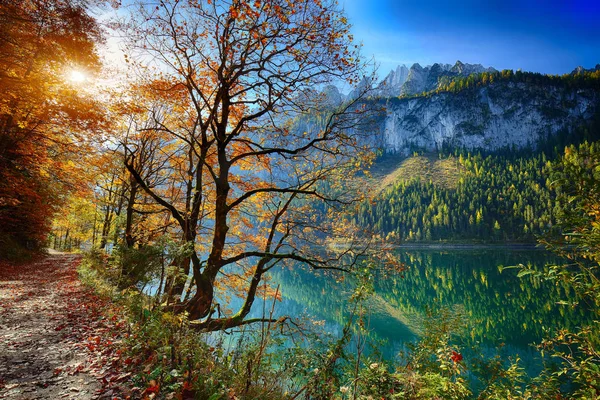 Schöne Aussicht auf idyllische farbenfrohe Herbstlandschaft in Gosausee la — Stockfoto