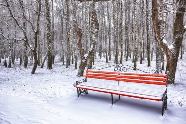 Park bankı ve ağaçlar yoğun karla kaplı.