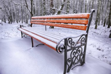 Park bankı ve ağaçlar yoğun karla kaplı.