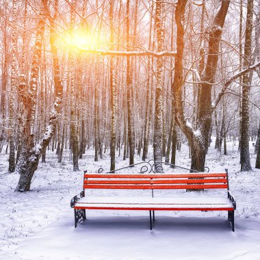 Park bankı ve ağaçlar yoğun karla kaplı.