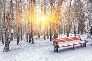 Park bankı ve ağaçlar yoğun karla kaplı.