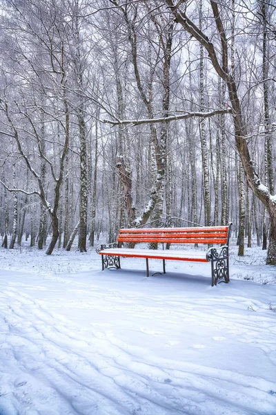 大雪に覆われた公園のベンチや木 — ストック写真