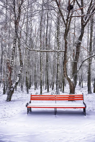 Parkbank und Bäume von starkem Schnee bedeckt — Stockfoto