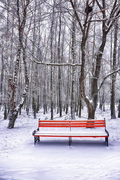 Park bench and trees covered by heavy snow