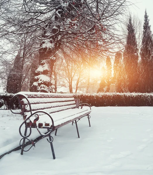 Park pad és fák borított nehéz hó — Stock Fotó