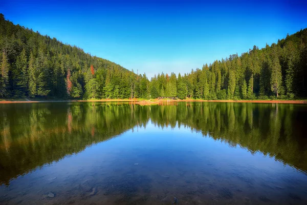 Bergsee inmitten des grünen Tannenwaldes im malerischen Sommer l — Stockfoto