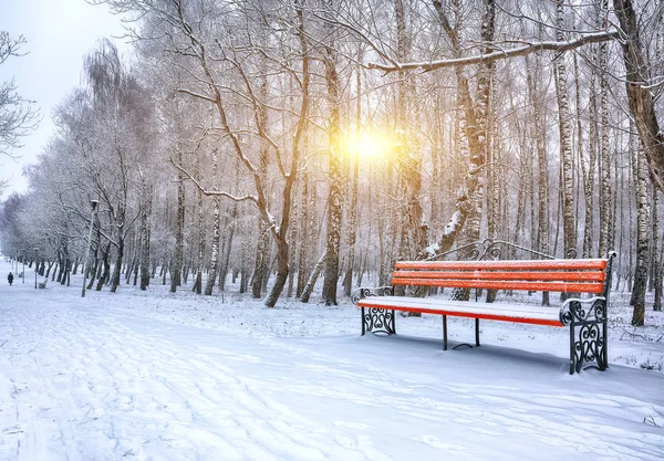 Parkbank und Bäume von starkem Schnee bedeckt — Stockfoto