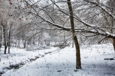Karla kaplı ağaçlarla kaplı güzel kış manzarası