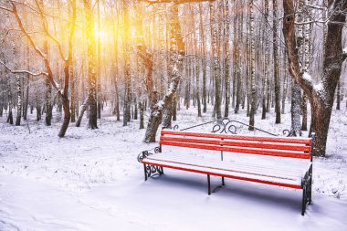 Park bankı ve ağaçlar yoğun karla kaplı.