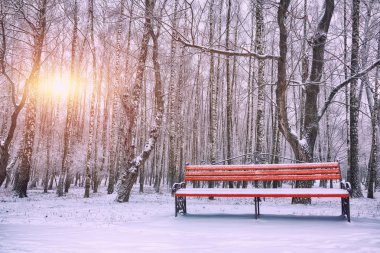 Park bankı ve ağaçlar yoğun karla kaplı.