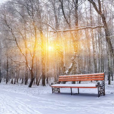 Park bankı ve ağaçlar yoğun karla kaplı.