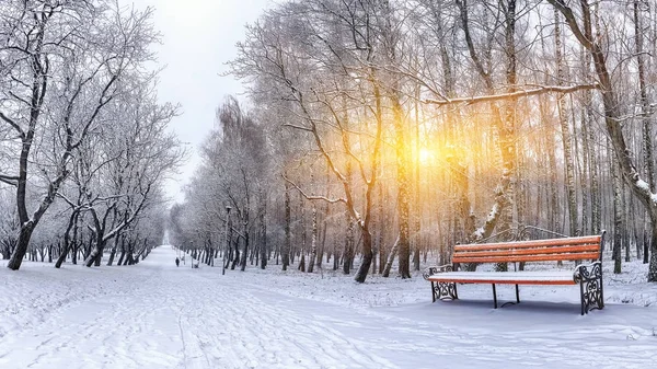 Parkbank und Bäume von starkem Schnee bedeckt — Stockfoto