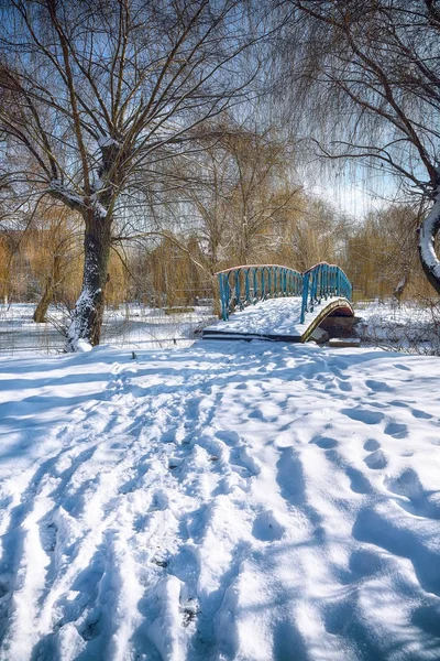 Frostige Bäume und alte schneebedeckte Brücke im Winterpark — Stockfoto