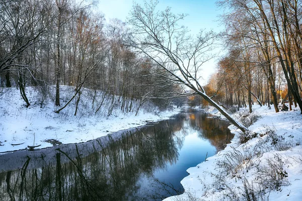 Scenic view of the river and trees in winter — Stock Photo, Image