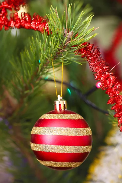 Κόκκινη χριστουγεννιάτικη μπάλα κρέμεται στο χριστουγεννιάτικο δέντρο — Φωτογραφία Αρχείου