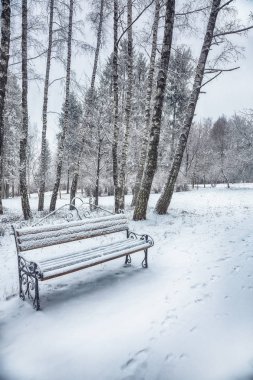 Park bankı ve ağaçlar yoğun karla kaplı.