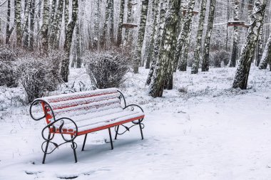 Park bankı ve ağaçlar yoğun karla kaplı.