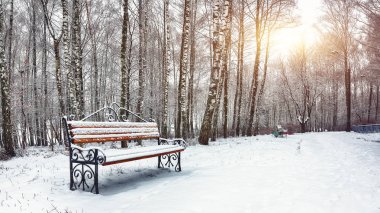 Park bankı ve ağaçlar yoğun karla kaplı.