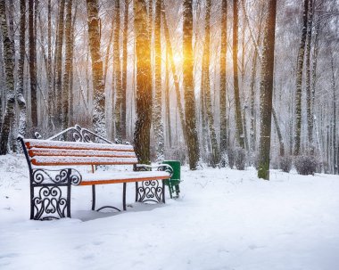 Park bankı ve ağaçlar yoğun karla kaplı.