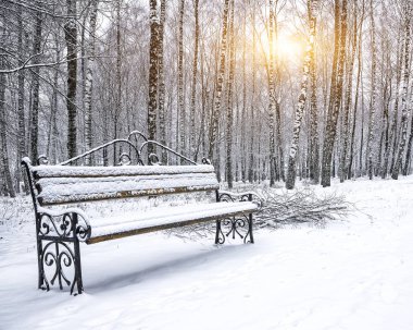 Park bankı ve ağaçlar yoğun karla kaplı.